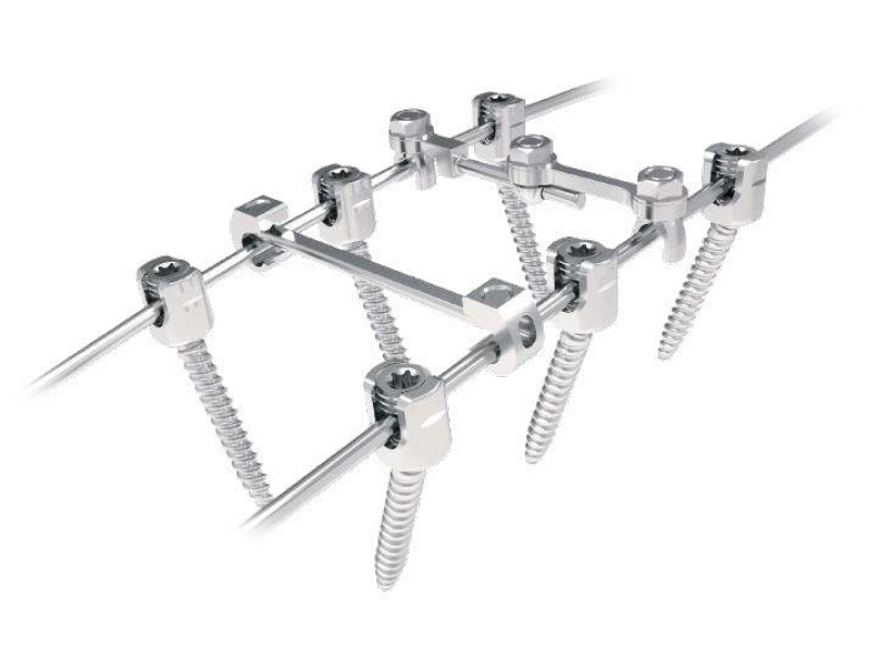 SILVER SCREW