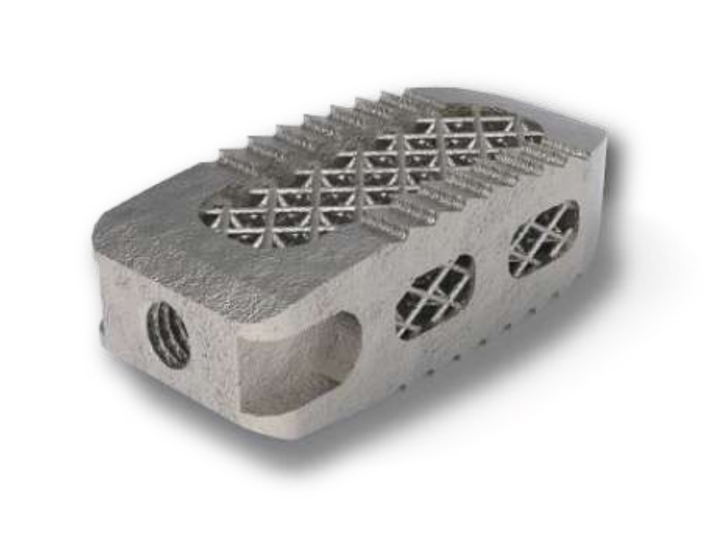 TRA-TI TrabecularPLIF Cage